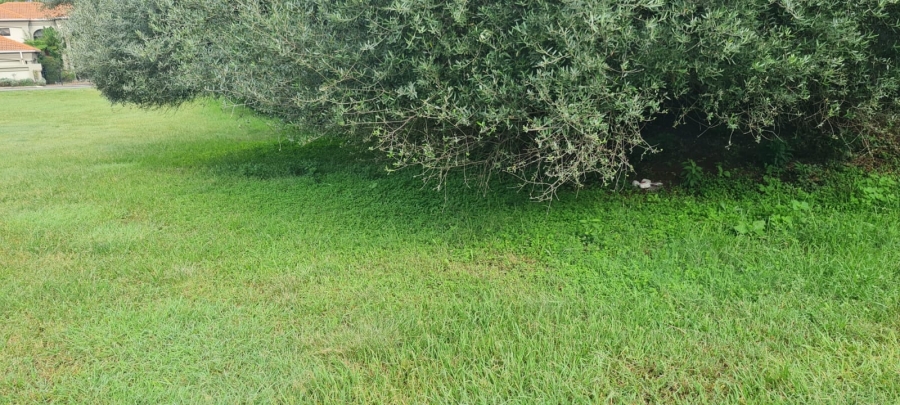 Commercial Property for Sale in Hartbeesfontein North West